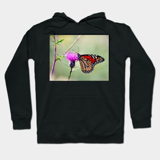 “Monarch’s Floral Snack” Hoodie